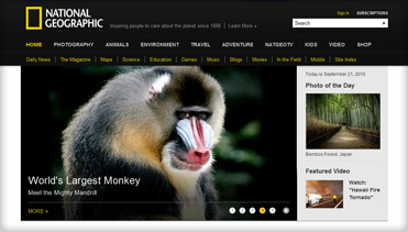 服务器攻击软件